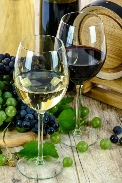 Aperitive guided cruise « Wine and Canelé » - Key things you’ll enjoy on this wine and canelé cruise