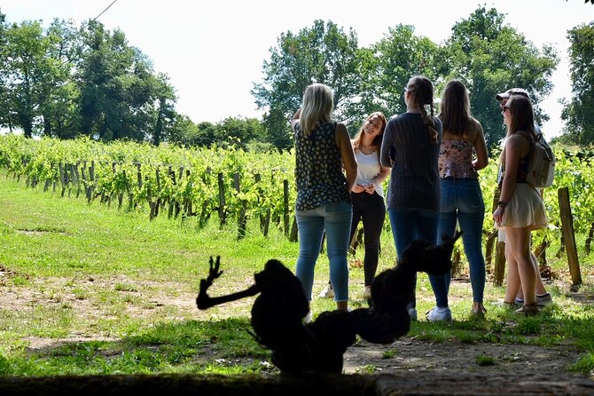 Backcountry E-Bike Adventure from Bordeaux: Wine Tasting & Lunch - Winery Time in Bordeaux Wine Country: Red, White, and a Local Snack Fuel-Up