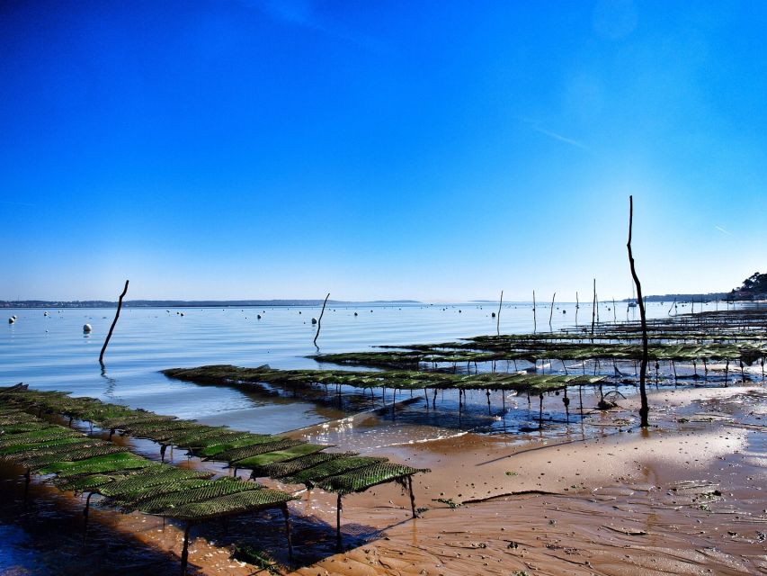 Bay of Arcachon: Guided Food Tour - What the 3-hour walk actually feels like