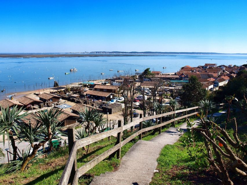Bay of Arcachon: Guided Food Tour - Stop 3 (and the big finish): oysters at an oyster farm