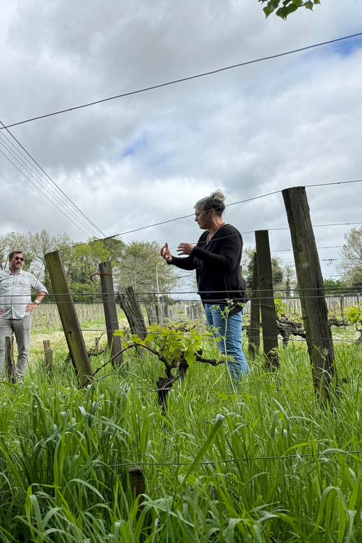 Bordeaux Backcountry E-Bike Tour with Lunch & Wine Tasting - What to Bring, What’s Not Allowed, and Who This Tour Fits Best
