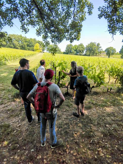 Bordeaux by Gravel Bike : Historic center & vineyards - Meeting Edwin in Chartrons and getting your bike sorted