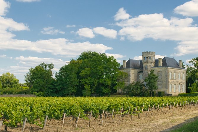 Bordeaux Cruise Port Shore Excursion: Full-Day Private Medoc Wine Tour - What a private format changes about your tastings