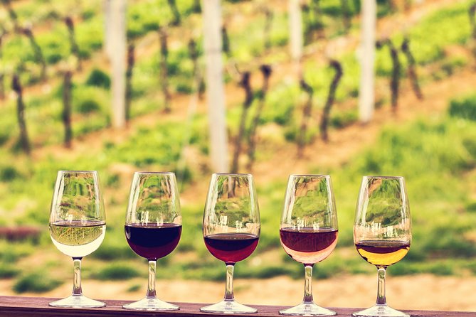 Bordeaux Cruise Port Shore Excursion: Full-Day Private Medoc Wine Tour - Margaux first: the classic opening act for understanding Médoc style