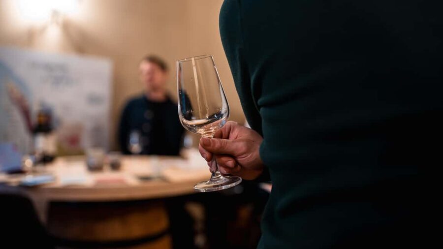 Bordeaux : Evening Food and Wine Tour with local delicacies - Who should book (and who should skip)