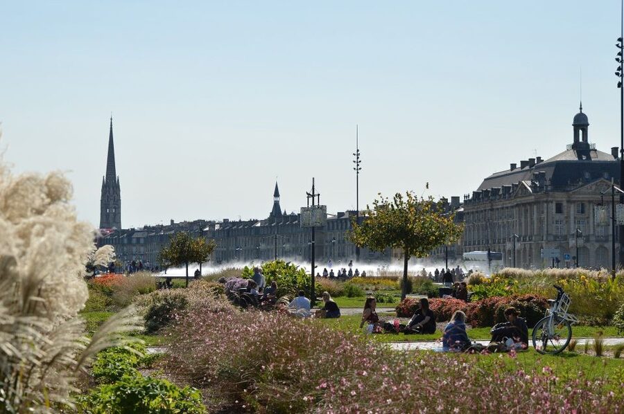 Bordeaux: Exclusive Private Guided Walking Tour - Wine-region recommendations that actually help planning later
