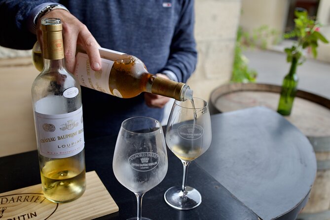 Bordeaux : Full Day Wine Tastings & Gourmet Lunch - Bordeaux wine tastings that go past the usual names