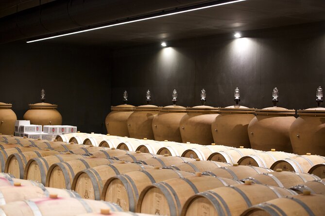 Bordeaux : Full Day Wine Tastings & Gourmet Lunch - What makes the tastings feel accessible