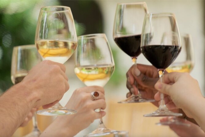 Bordeaux : Full Day Wine Tastings & Gourmet Lunch - Price and value: what $236.20 buys you