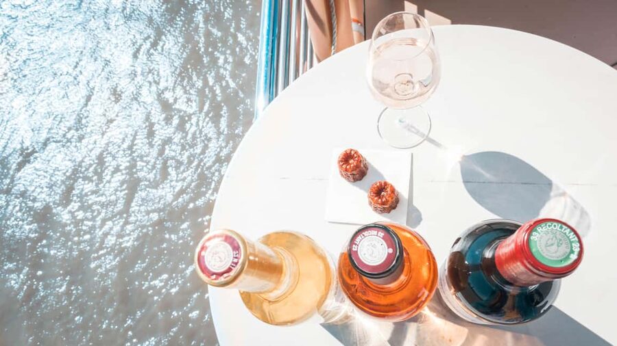 Bordeaux: Guided Wine and Canelé Discovery Cruise - Who This Cruise Suits Best