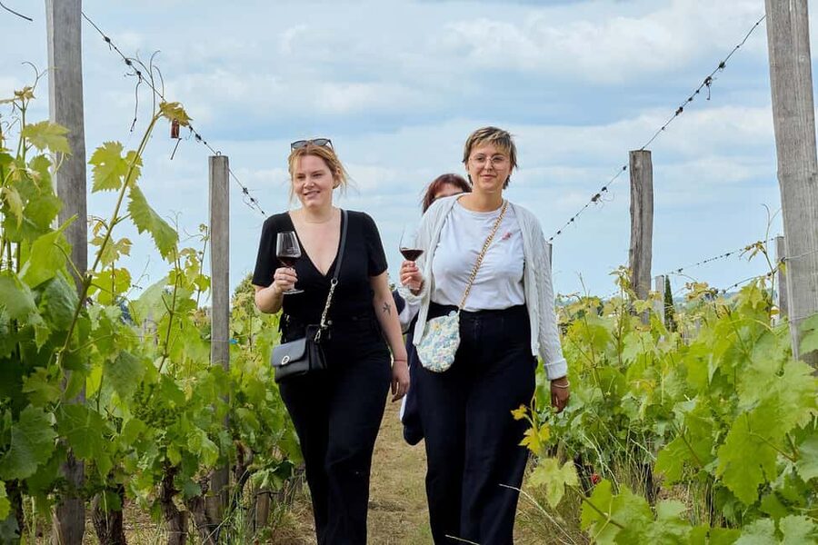 Bordeaux: Half-Day Margaux Tour with Wine Tastings - Small Group Comfort: Why Max 8 Changes the Experience