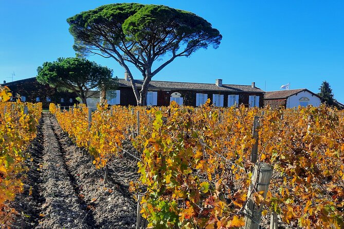 Bordeaux Médoc Region Private Wine Lovers Tour with Chateau Visits & Tastings - Private Pickup and a 9-Hour Day That Doesn’t Feel Like Running a Marathon
