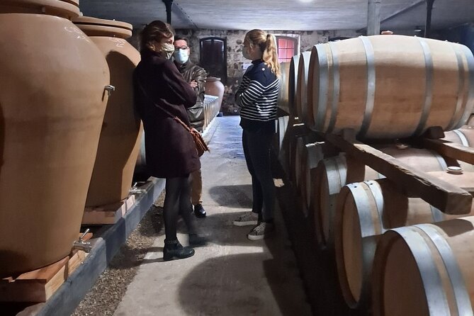 Bordeaux Médoc Region Private Wine Lovers Tour with Chateau Visits & Tastings - Who This Tour Fits Best (and Who Might Want Something Else)