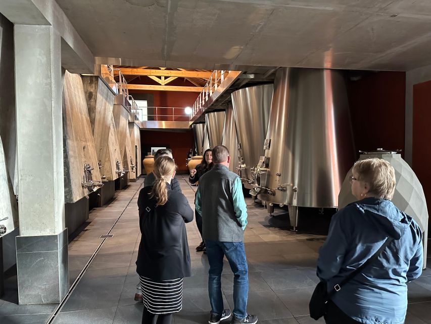 Bordeaux: Medoc tour in a small group (Luxury Mercedes EQV) - Key highlights that make this tour worth your time