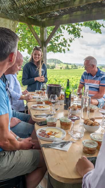 Bordeaux: Saint-Emilion and Medoc Full-Day Wine Experience - Key highlights that make this day work