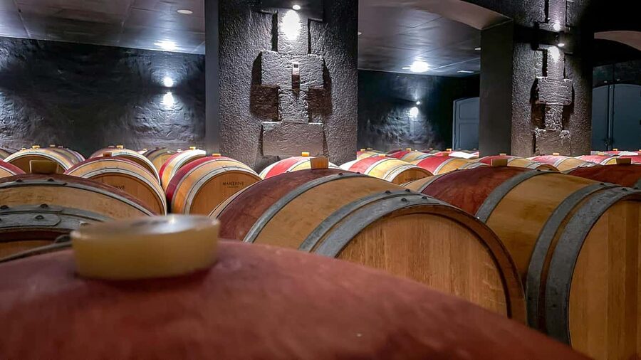Bordeaux: Saint-Emilion and Medoc Full-Day Wine Experience - A small-group Bordeaux wine day that hits both banks
