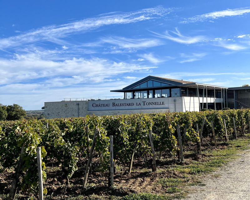 Bordeaux: Saint-Emilion Village Day Trip, 2 Chateaux & Lunch - What “5/6 Wines” Means for Your Taste Buds and Your Timing
