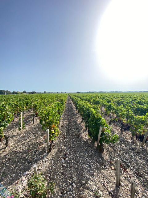 Bordeaux: Saint Emilion Village with Chateaus & Wine Tasting - Key points at a glance