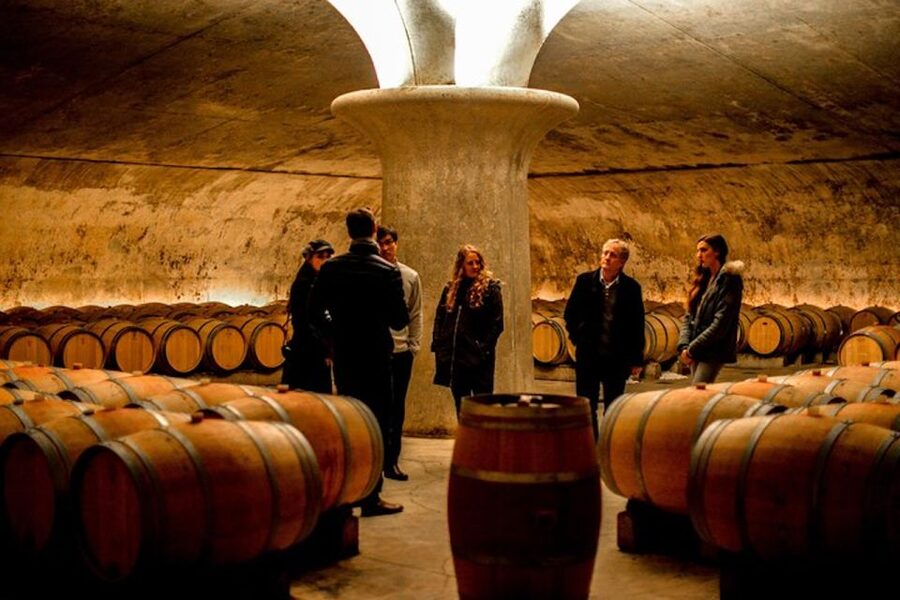 Bordeaux: St-Emilion and Medoc Wine Day Tour with Lunch - Key takeaways before you go