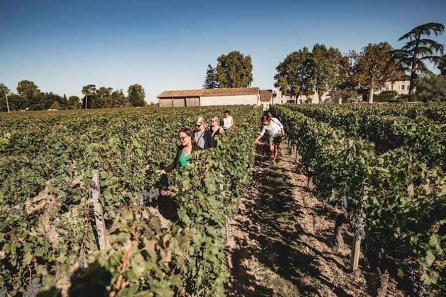Bordeaux: St-Emilion and Medoc Wine Day Tour with Lunch - Entering Bordeaux’s wine regions in one efficient 9-hour day