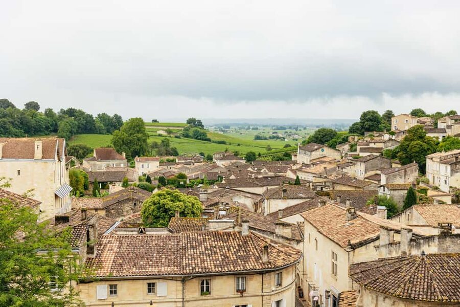 Bordeaux: St. Emilion Day Trip with Wine Tasting and Lunch - Château visit #1 at late morning: tour first, then taste