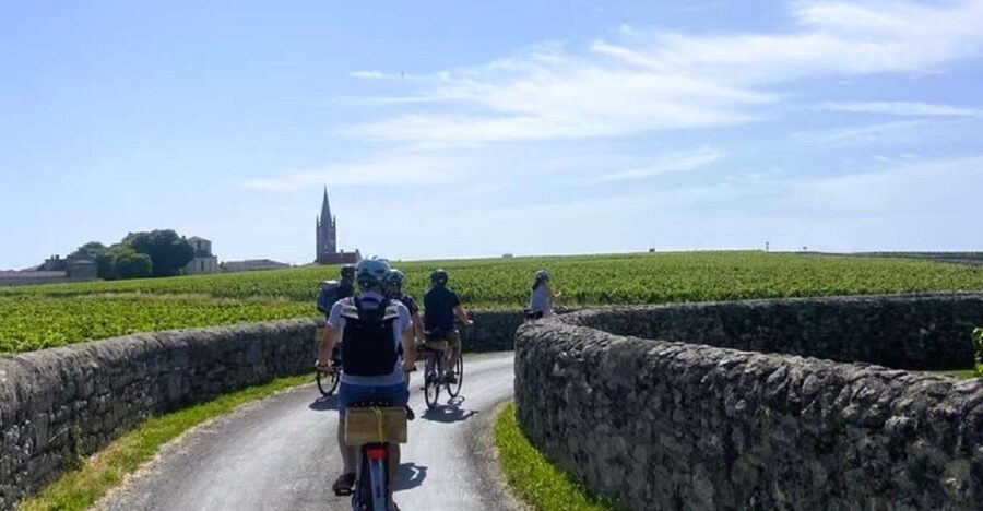 Bordeaux: St-Emilion Vineyards e-Bike Tour with Wine & Lunch - Key highlights worth your time