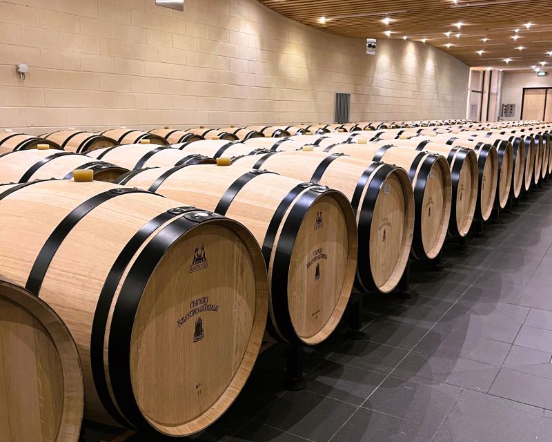 Bordeaux: St-Emilion Vineyards e-Bike Tour with Wine & Lunch - The vineyard pass-by moment: seeing names like Petrus and Cheval Blanc
