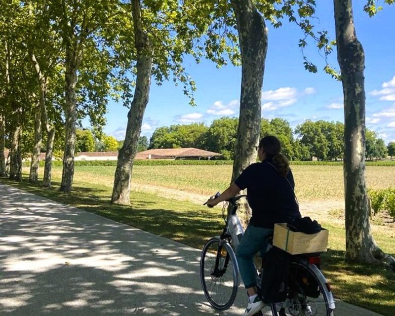 Bordeaux: St-Emilion Vineyards e-Bike Tour with Wine & Lunch - First château day: classified growth estate, vineyard walk, and lunch in the gardens