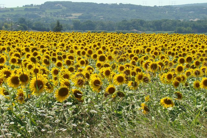 Bordeaux to Dordogne - Private Tour: Fortified Castles and Medieval Villages - Down by the Dordogne: A Gentle Stop in the Riverside Village