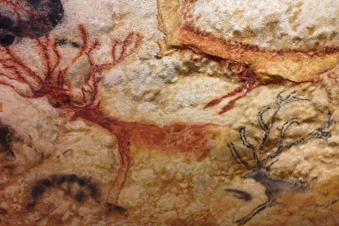 Bordeaux to Lascaux and Dordogne Valley Private Sightseeing Tour - Bordeaux to Lascaux and Dordogne: what makes it feel easier than group tours