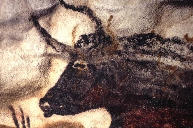 Bordeaux to Lascaux and Dordogne Valley Private Sightseeing Tour - Price and value: what you pay for (and what to budget for)