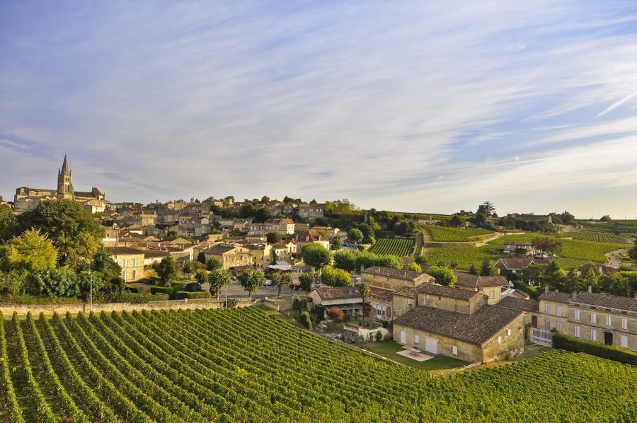 Bordeaux: Vineyards Wine Tasting Half-Day Trip - Médoc on Tuesday and Saturday: two château visits, big-name wines