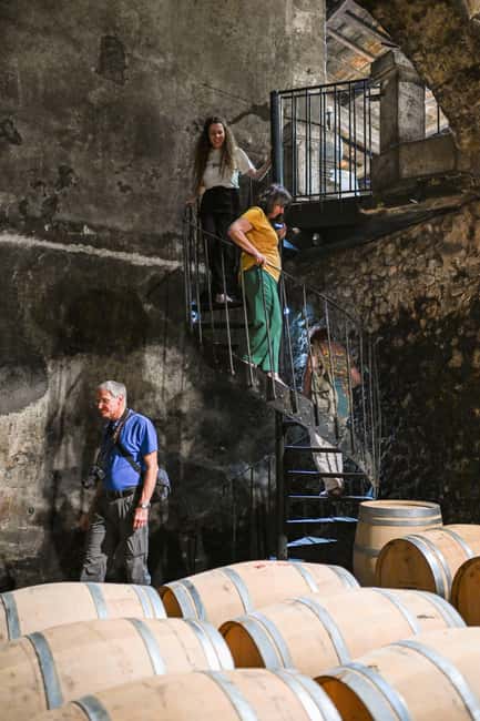 Bordeaux: Vineyards Wine Tasting Half-Day Trip - Entre-deux-Mers on Thursday: smaller feel, same structure