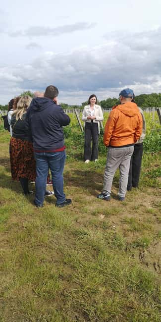 Bordeaux wine tour: 2 wineries & wine tastings (red & white) - Quick takeaways from this Bordeaux wine tour