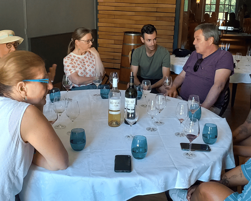 Bordeaux wine tour: 2 wineries & wine tastings (red & white) - Stop 1 in Pessac-Léognan: organic winery tour plus cellar time