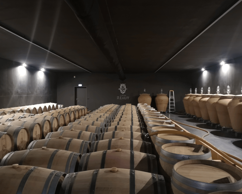 Bordeaux wine tour: 2 wineries & wine tastings (red & white) - Stop 2 in Entre-deux-Mers: hillier views, a wider color lineup