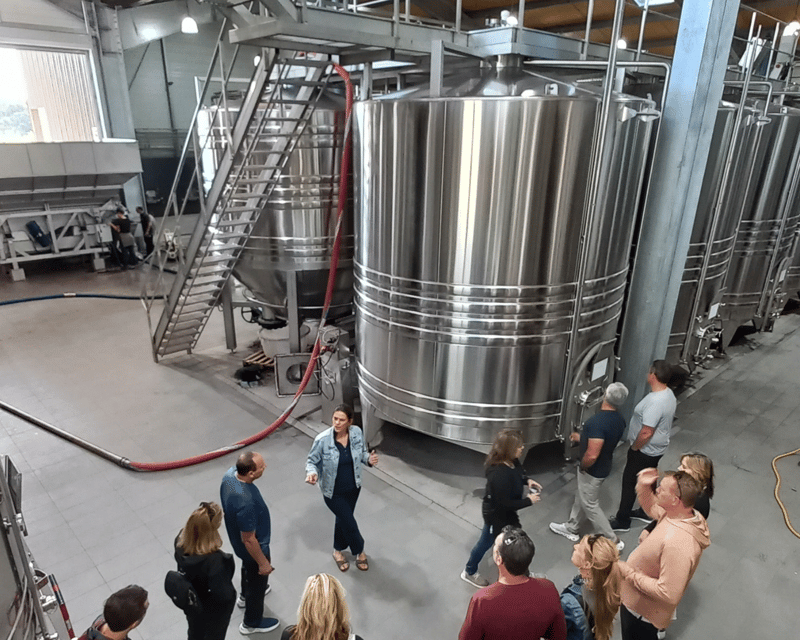 Bordeaux wine tour: 2 wineries & wine tastings (red & white) - Tastings and how to get more out of each pour