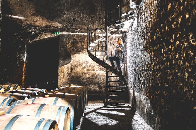 Bordeaux: Wine Tour and Tasting - Why This Taillan-Médoc Winery Feels More Real Than Downtown