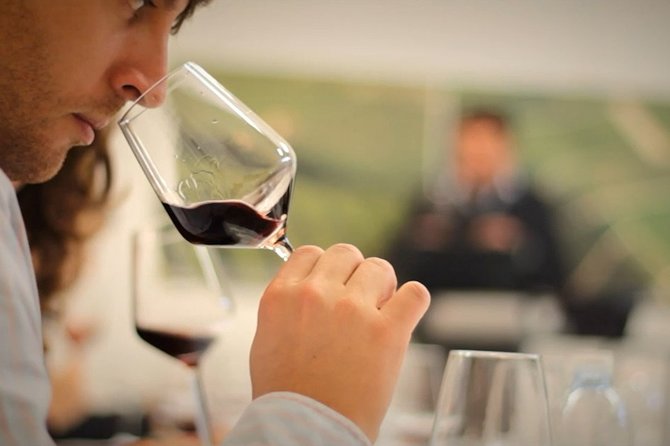 Bordeaux: Wine Tour and Tasting - The 18th-Century Château and the Vineyard Side of Bordeaux
