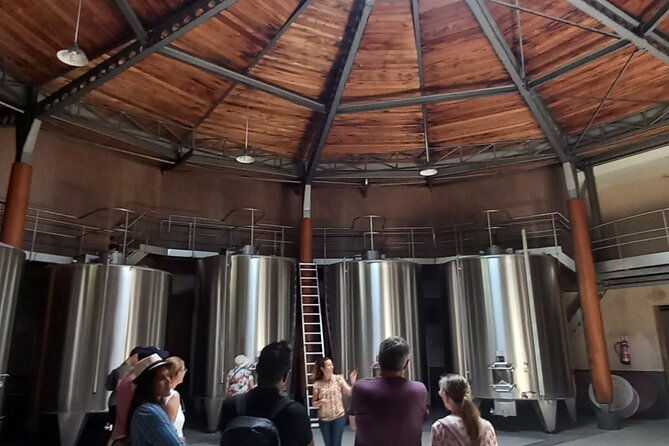 Bordeaux wine tour off the beaten path (red & white wines) - What to expect from the tour experience (comfort, pace, and group vibe)