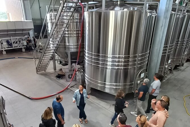 Bordeaux wine tour off the beaten path (red & white wines) - Should you book this tour?