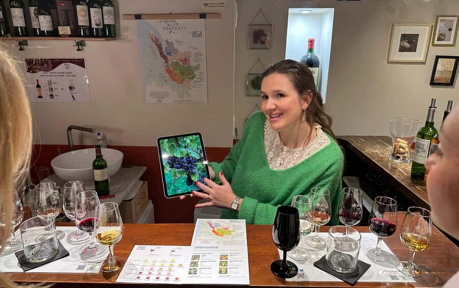 Bordeaux wines : tasting with 4 white wines and cheeses - Bordeaux in plain terms: appellations, blends, and what the guide actually means