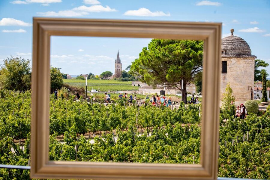Château Balestard La Tonnelle : The "Origins" tour - Group size, guide languages, and how the tour feels in real life