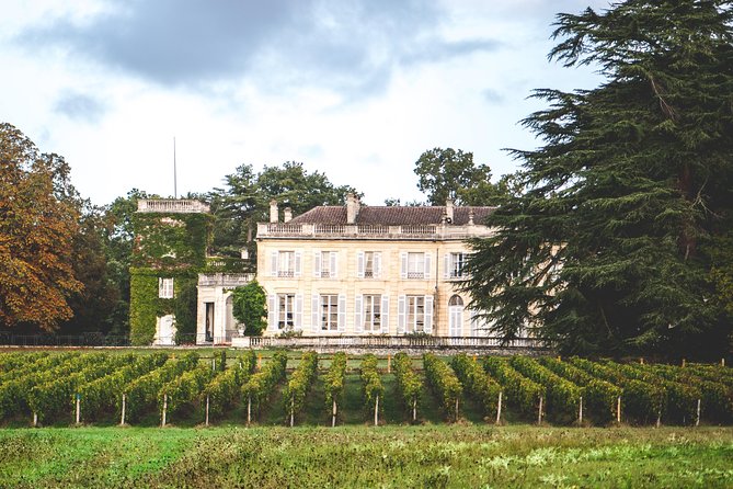 Chateau du Taillan and Park including Wine Tasting Tour - Key highlights you’ll actually care about