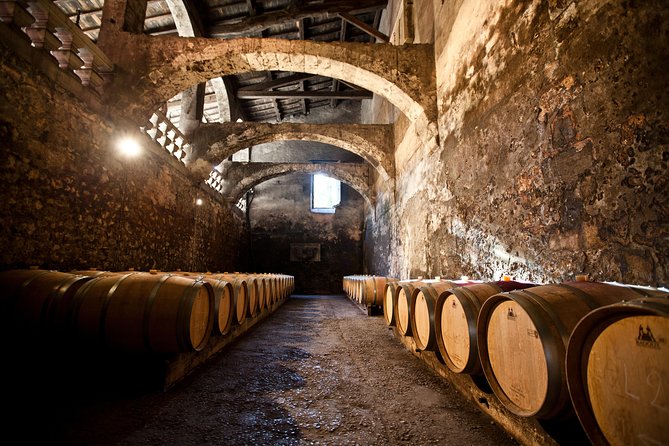 Chateau du Taillan and Park including Wine Tasting Tour - Parc de Majolan: your first taste of the estate area