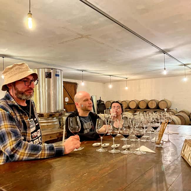 Classic car private tour : half day Margaux & Médoc - Two winery visits in the Médoc: learning that sticks