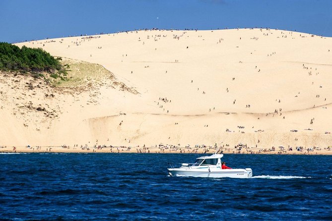Dune du Pilat and Oysters Tasting in only 1 hour away from Bordeaux ! What else? - Oysters, Wine, and the Not-Oyster Plan