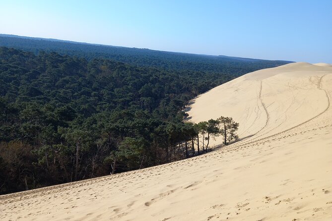 Dune du Pilat and Oysters Tasting in only 1 hour away from Bordeaux ! What else? - Value for $150: What You’re Getting for Your Money