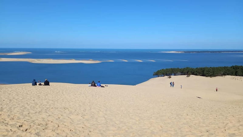 Dune du Pilat, Oysters Tasting and Arcachon! What else ? - Should you book this Dune du Pilat and oyster tasting tour?