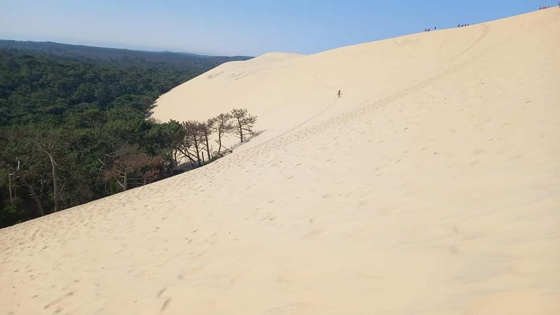 Dune du Pilat, Oysters Tasting and Arcachon! What else ? - Climbing Dune du Pilat and taking in the Arcachon Bay view